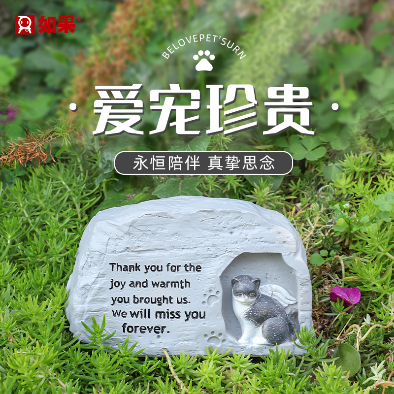 永恒的陪伴