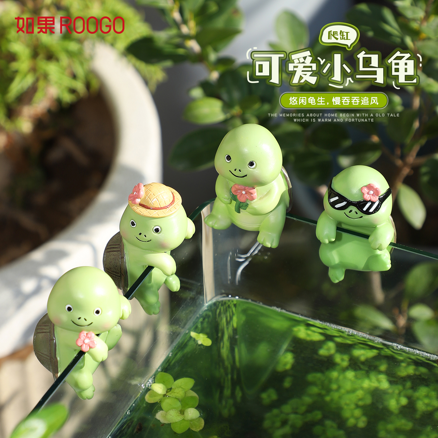 可爱小乌龟爬缸